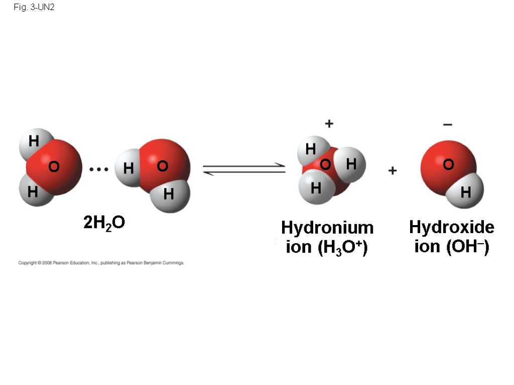 Fig. 3-UN2 Hydronium ion (H3O+) Hydroxide ion (OH–) 2H2O H H H H H